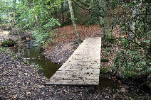 Picture: SL12 4
